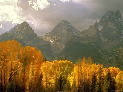 风景图片秋季唯美意境摄影作品第5张