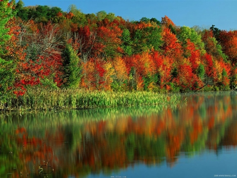 风景图片秋季唯美意境摄影作品第7张