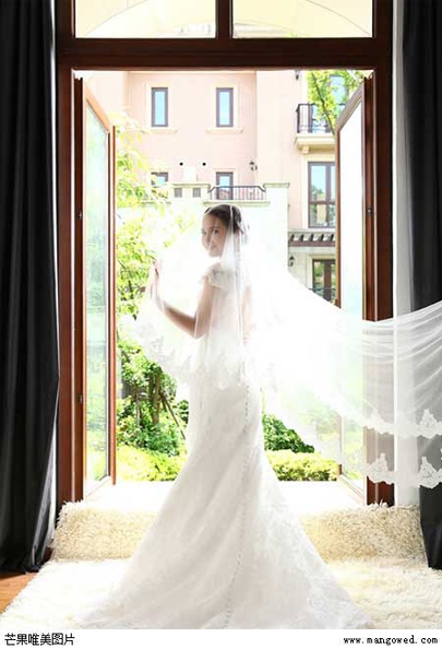 唯美的欧式新娘头纱婚纱摄影图片第3张