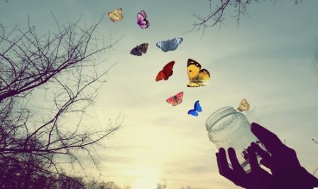 [唯美伤感图片]真羡慕蝴蝶的自由、快乐第2张