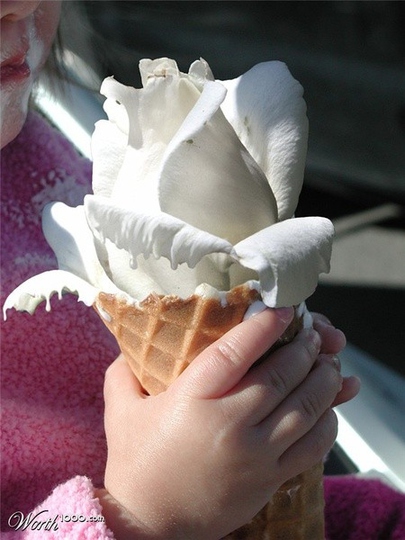 小清新图片夏天冰淇淋照片第2张