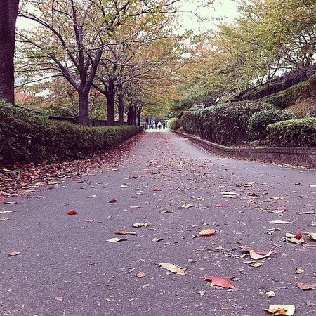风景图片日本街道唯美摄影组图第6张