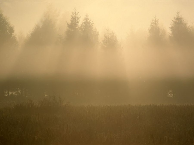 风景图片唯美意境云雾组图第1张