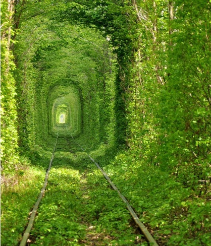 风景图片唯美意境铁路组图第1张