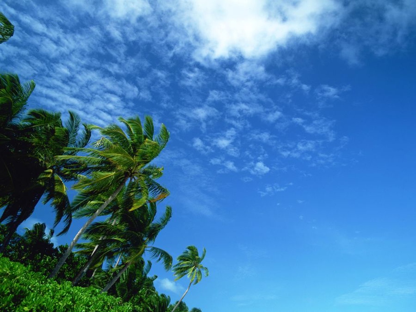 风景图片海边沙滩蓝天白云组图第2张