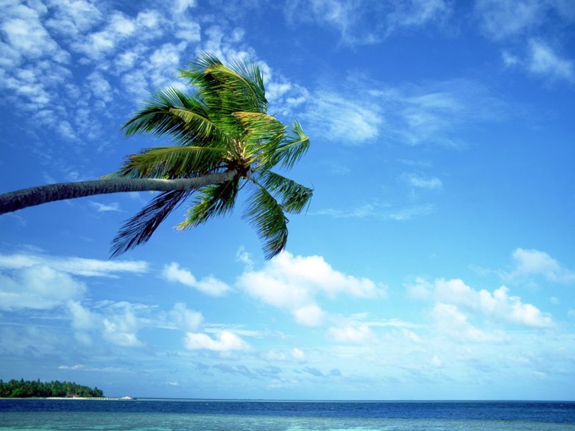 风景图片海边沙滩蓝天白云组图第19张