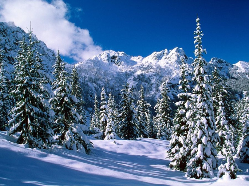 风景图片冬天唯美雪景图集第6张