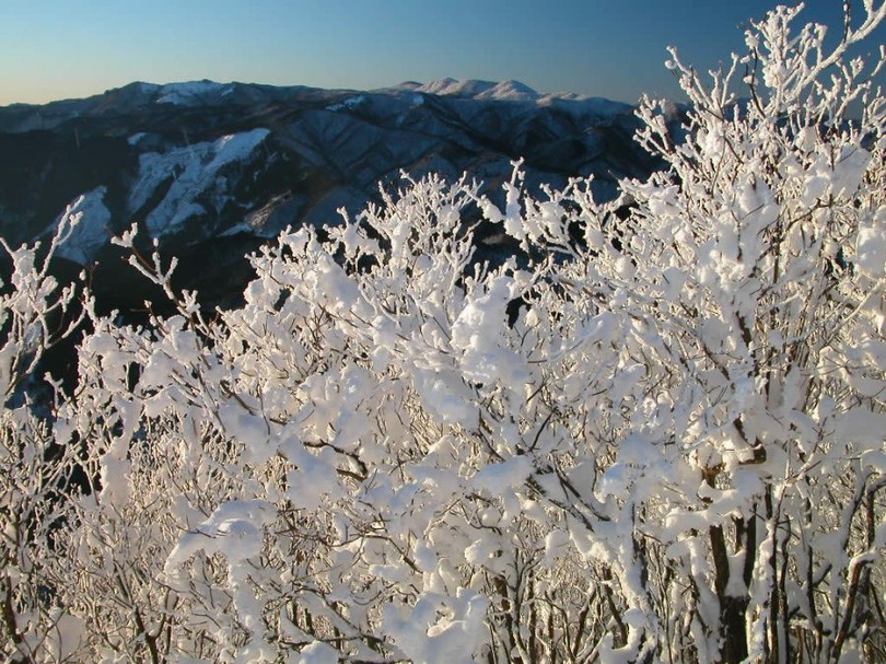 风景图片秋冬雪景唯美摄影组图第3张