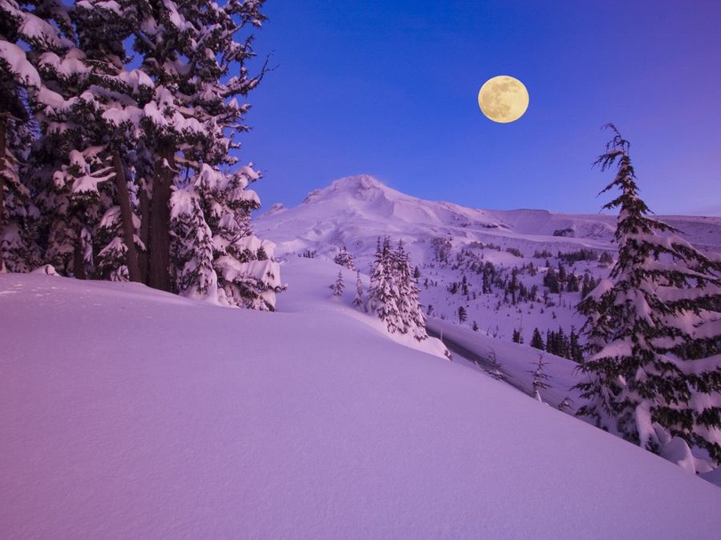 风景图片唯美冬天的雪景组图第5张
