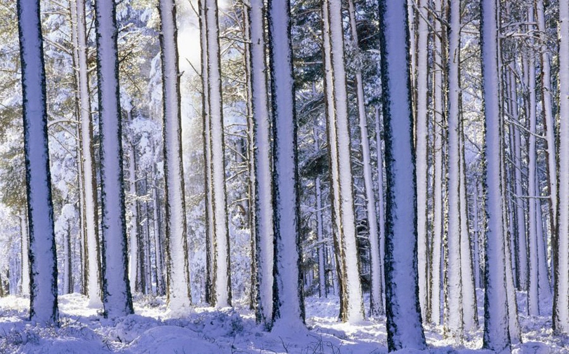 风景图片冬季唯美雪景高清组图第3张