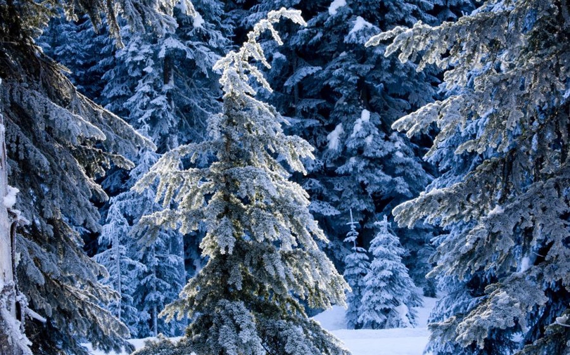 风景图片冬季唯美雪景高清组图第5张