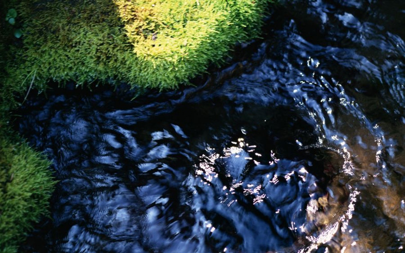 风景图片小溪流水摄影组图第2张