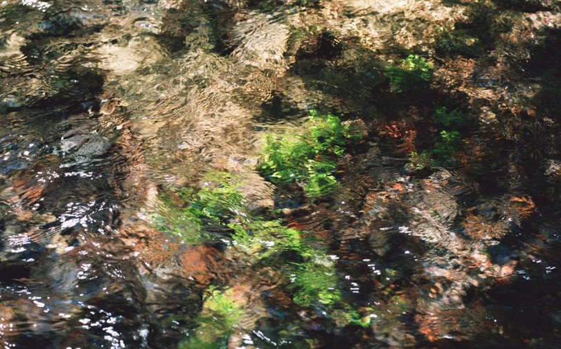 风景图片小溪流水摄影组图第6张