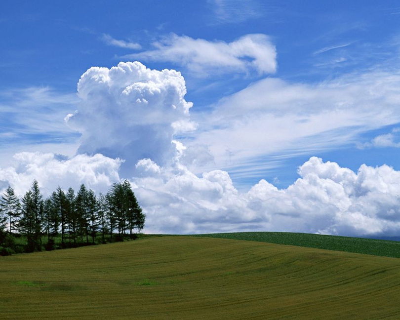 风景图片草地蓝天白云组图第1张