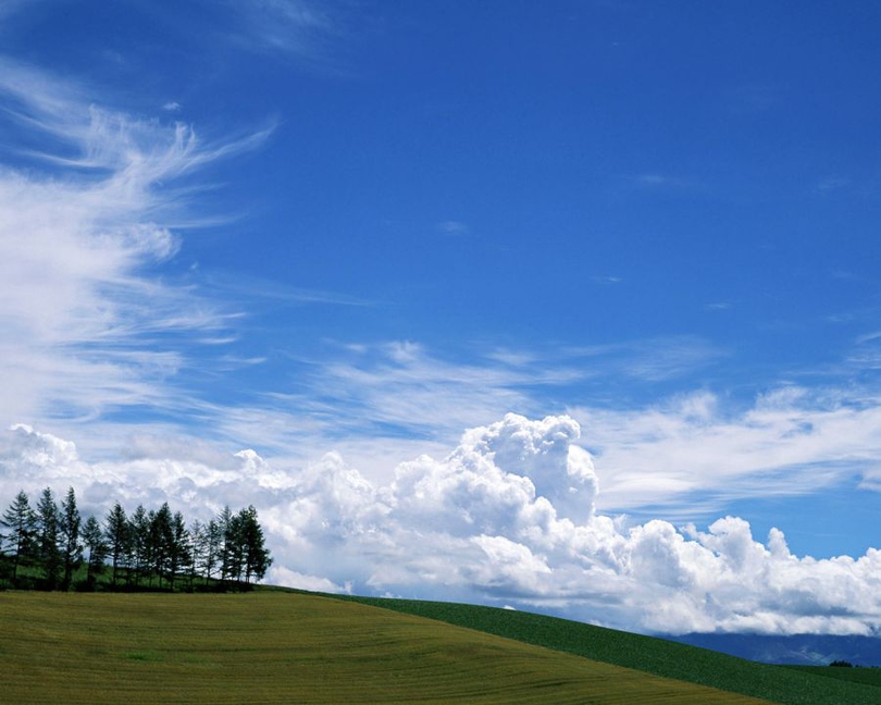 风景图片草地蓝天白云组图第2张