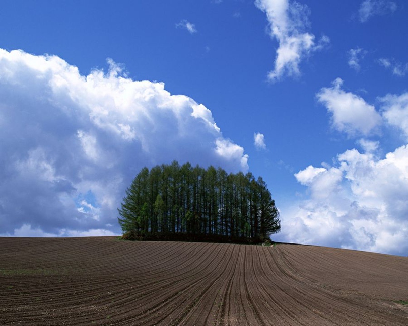 风景图片草地蓝天白云组图第3张