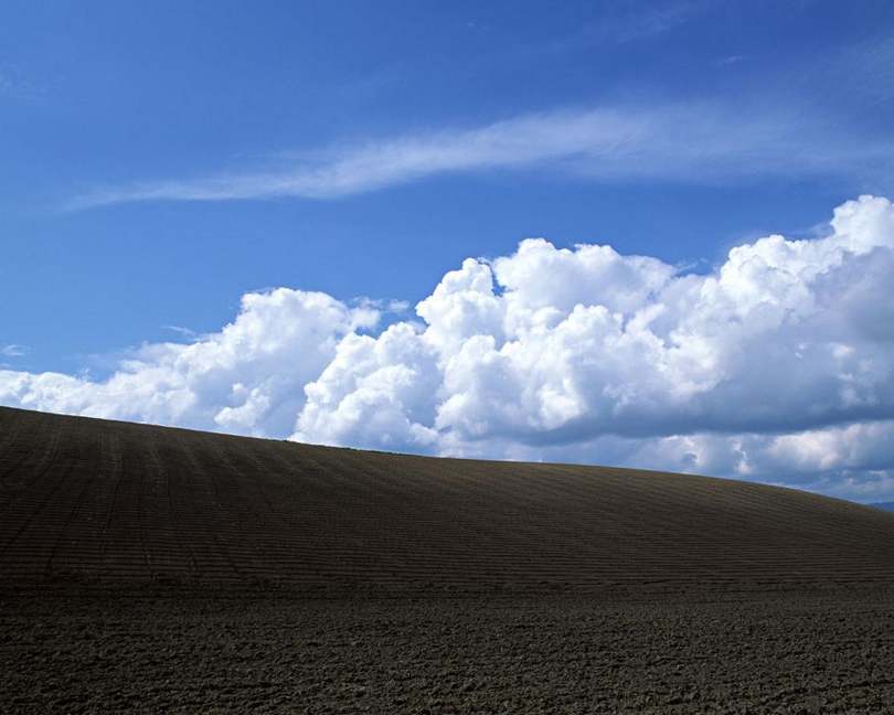 风景图片草地蓝天白云组图第4张