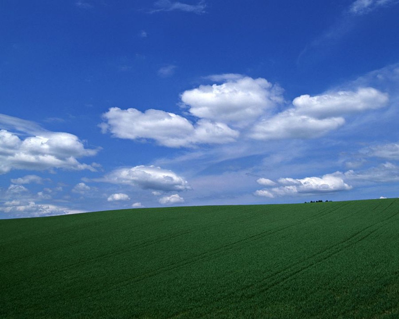 风景图片草地蓝天白云组图第7张