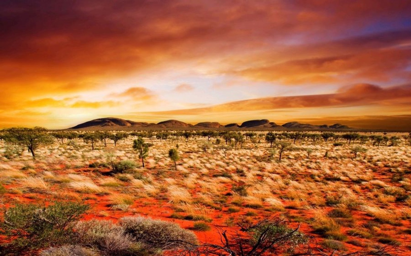 风景图片荒凉的沙漠唯美组图第1张