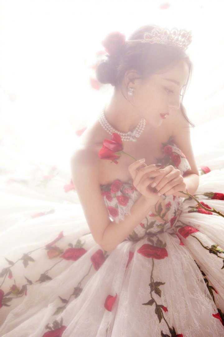 迪丽热巴玫瑰刺绣纱裙优雅性感写真图片第1张